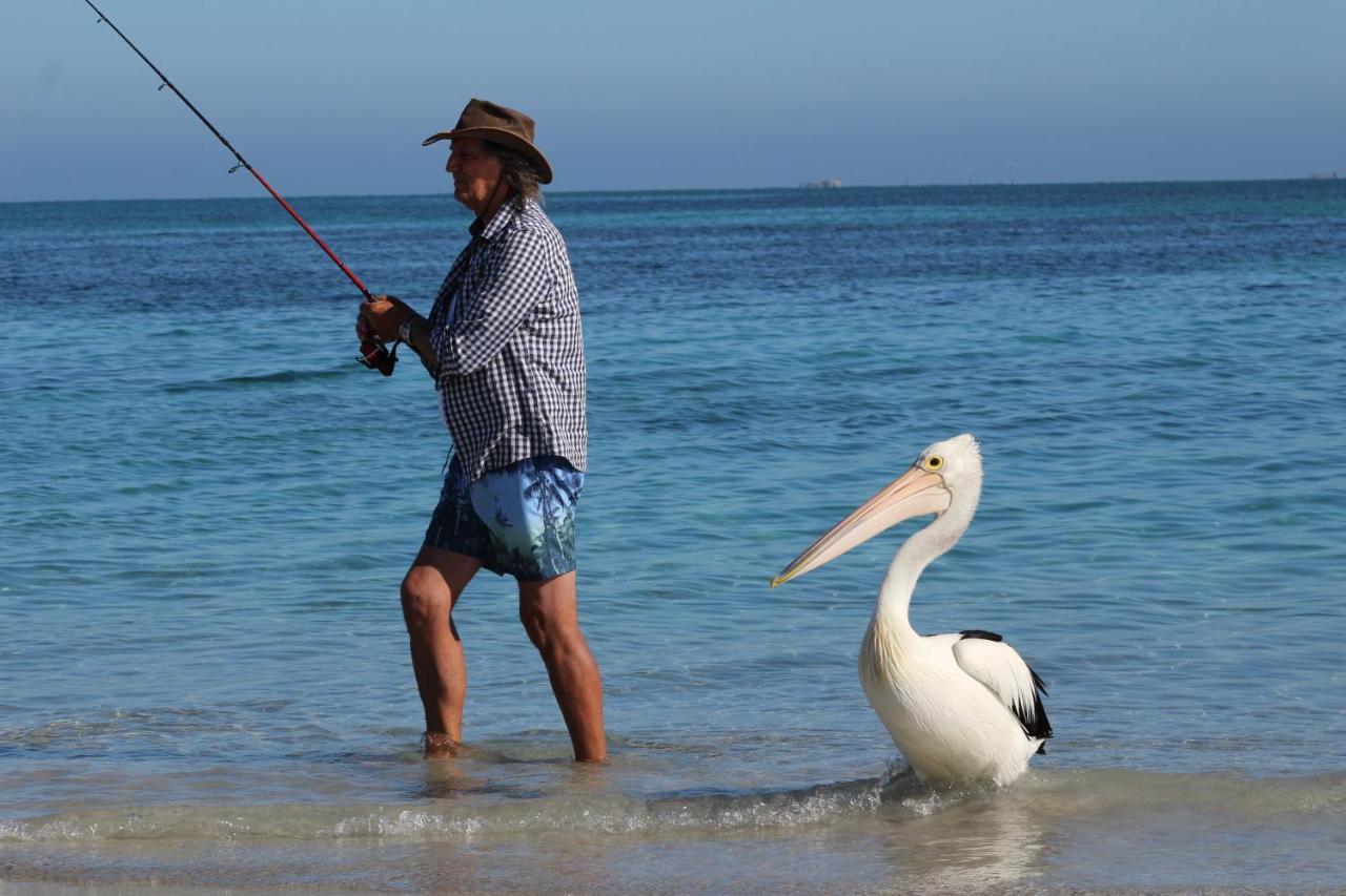 Ceduna Foreshore Caravan Park المظهر الخارجي الصورة